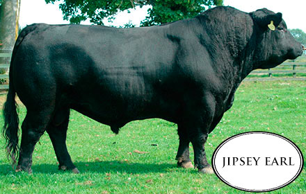 jipsey earl Juan Debenardi